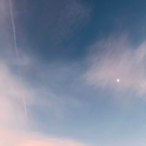 Meet your Posher, Maya